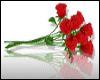 Roses + poses