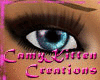 ~CK~ Brown Eye Makeup
