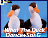 What The Duck Song+Dance