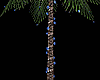 Blue Lights Palm