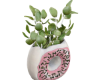 decorative plant