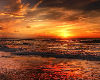 S* Sunset Room