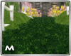 Grass