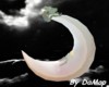 DaMop~Muse Moon Animated