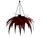 (SW)Hanging Blood Fern