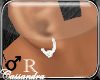 [C] Earrings Diamond [R]