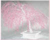 007 Pink Snow tree 2