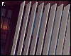 Blinds (White)