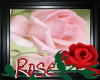 Nev's Pink Rose Area Rug