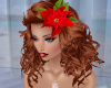 Ravishing Red Poinsettia