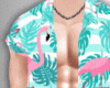 Summer M V1