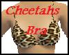 (JT) Cheetahs Bra