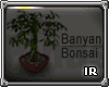 [IR] Banyan Bonsai