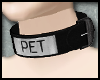 Pet collar