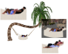 Couple Palm Hammock