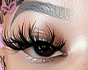 Ỿ | cute lashes