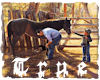 {TRUE}CountryHelpingHand