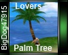 [BD] Lovers Palm Tree