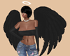 Black   Angel Wings