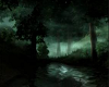 Haunted Woods Picture