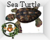 ~QI~ Sea Turtle