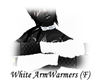 <DC> White ArmW. (f)