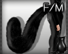 [CS]Fam.Cat Tail Big F/M
