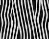 tapis zebre