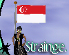 Singapore FLAG