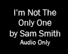 J*|Not the Only One~Sam
