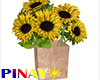 Sunflower Vase 1