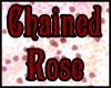 Chained Rose