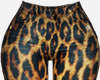 K ▶ Leopard Pants