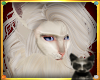 |LB|Maine Coon White 1