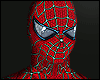 Spiderman Tobey/Mask
