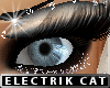 Ec. Sand Cat Eye Make-up