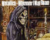 Metallica Wherever 14-25