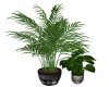 Potted Plants 01