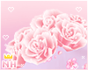 [HIME] Bunbun Roses