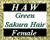 Green Sakura Hair - F