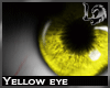 [LD] Eyes Yellow