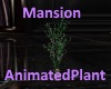 [BD]MansionAnimatedPlant