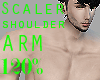 Scaler Arm 120%