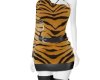 tiger outfit