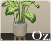 [Oz] - Plant green