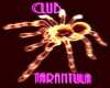 Club Tarantula
