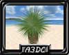 A3DC - Yukka Palm tree