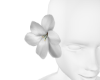 S | Flower