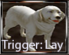White Retriever Dog