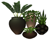 4potted plants